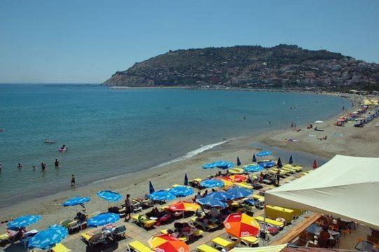 Best Beach Hotel 阿拉尼亚 外观 照片