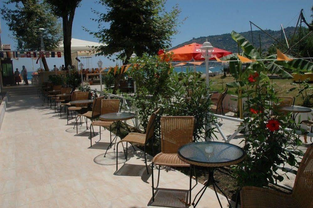 Best Beach Hotel 阿拉尼亚 外观 照片